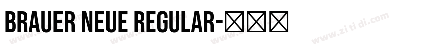 Brauer Neue Regular字体转换